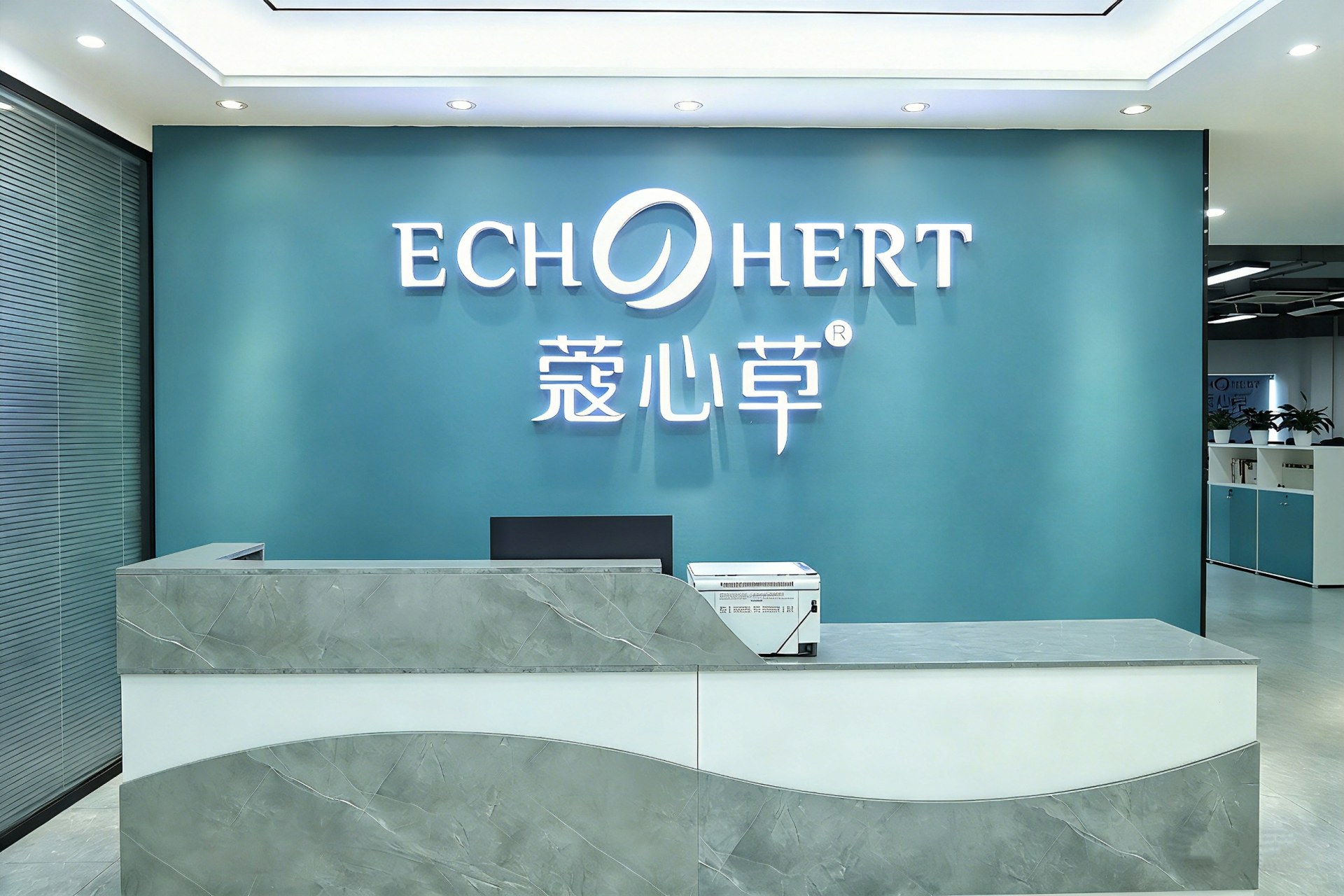 公司前台接待区，专业形象