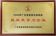 2020年广东省美容化妆品业最具竞争力企业