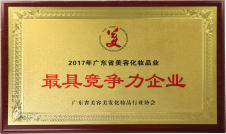 2017年广东省美容化妆品业最具竞争力企业
