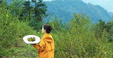 华夏宝地生万物，跟随蔻心草走进深山寻“维C之王”