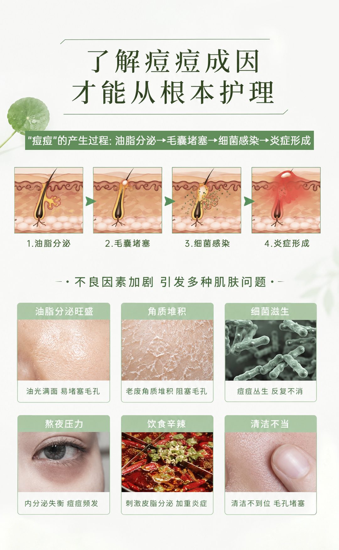 蔻心草清肤净颜草本精华霜_04.jpg