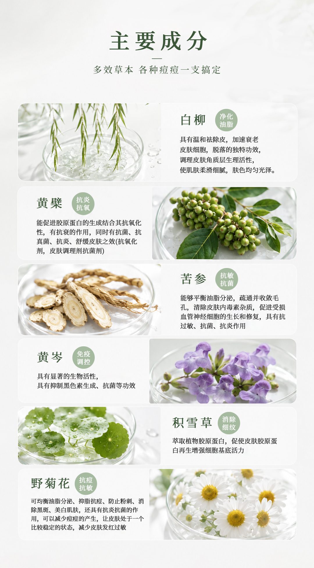 蔻心草清肤净颜草本精华霜_06.jpg
