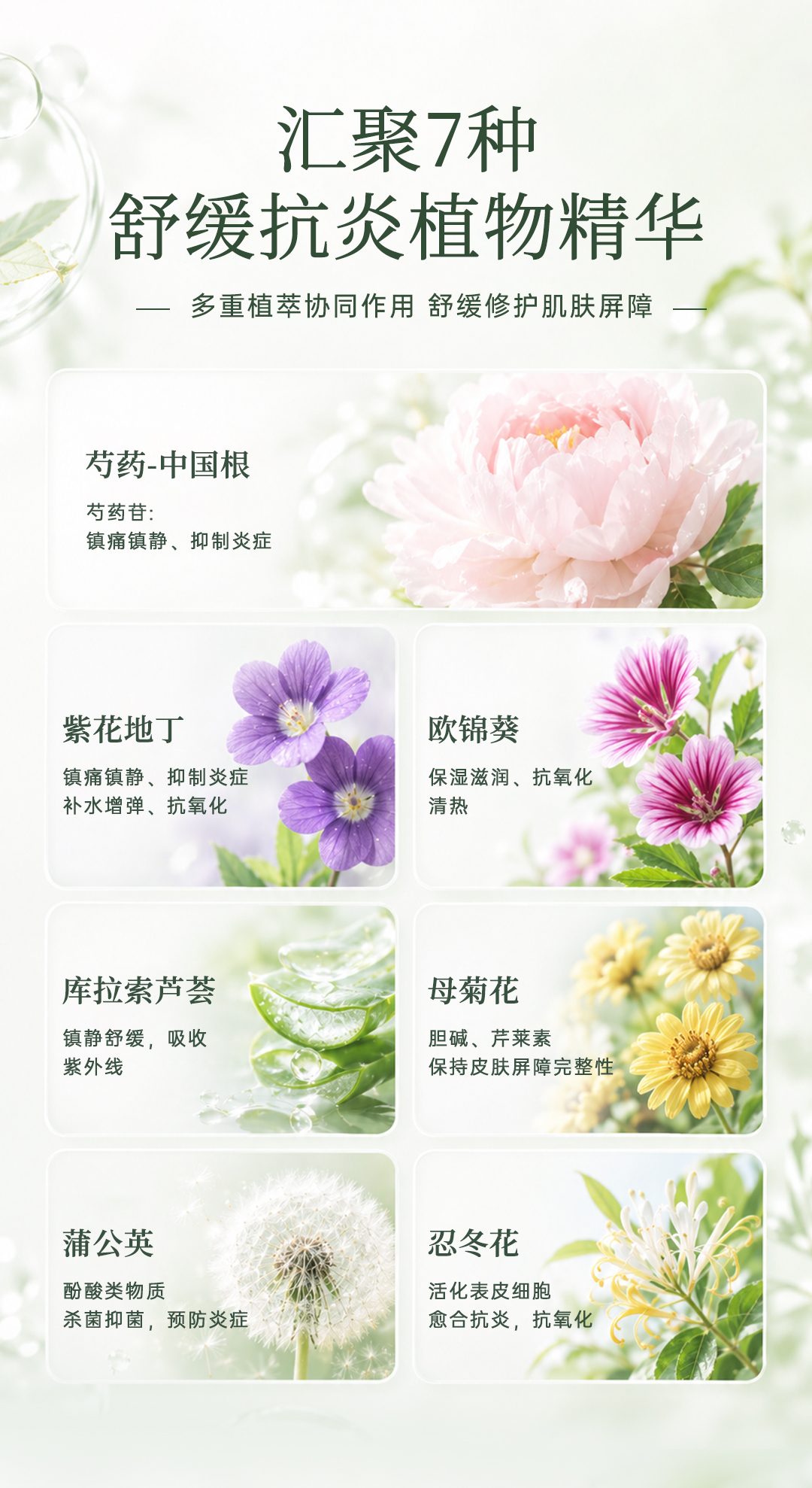 植物精粹平衡沁爽面膜_08.jpg