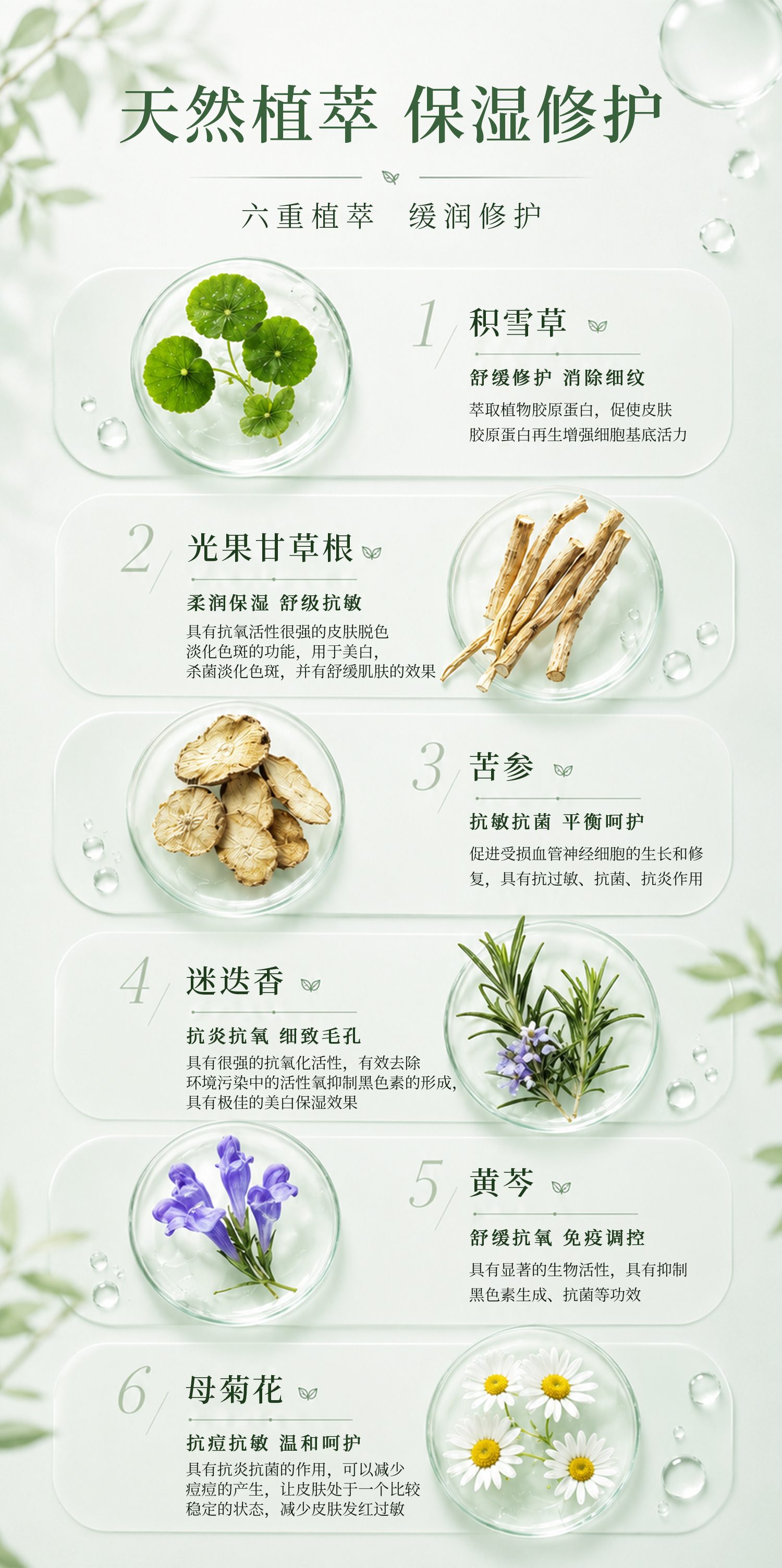 清肤净颜爽肤水_07.jpg