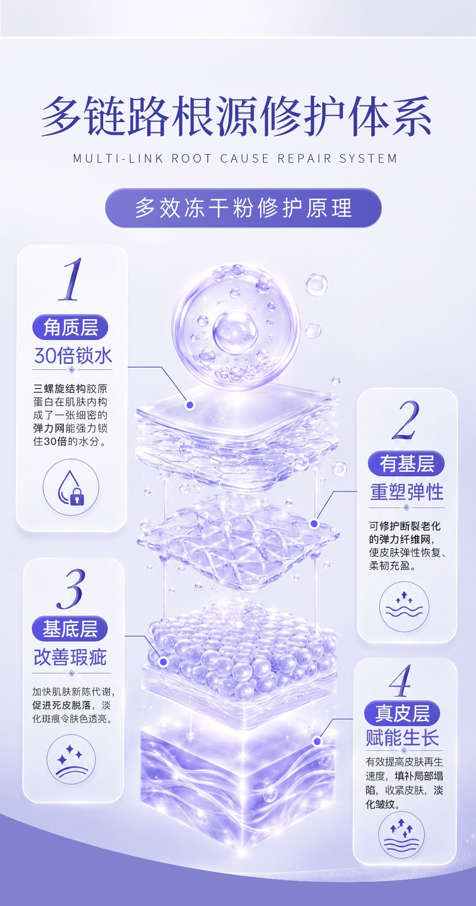 冻干粉详情页_04.jpg