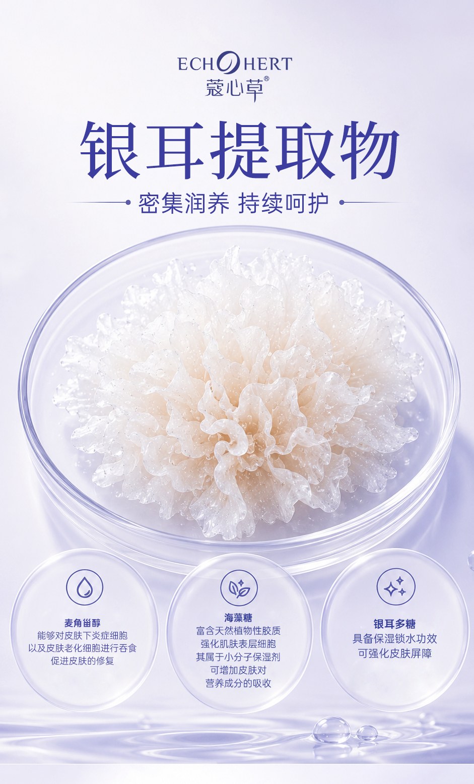 多效面膜_08.jpg